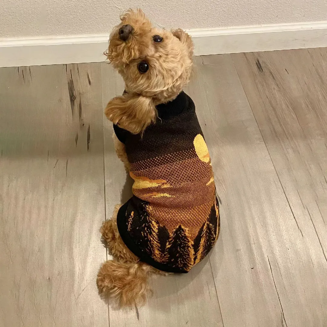 Pet Sweater