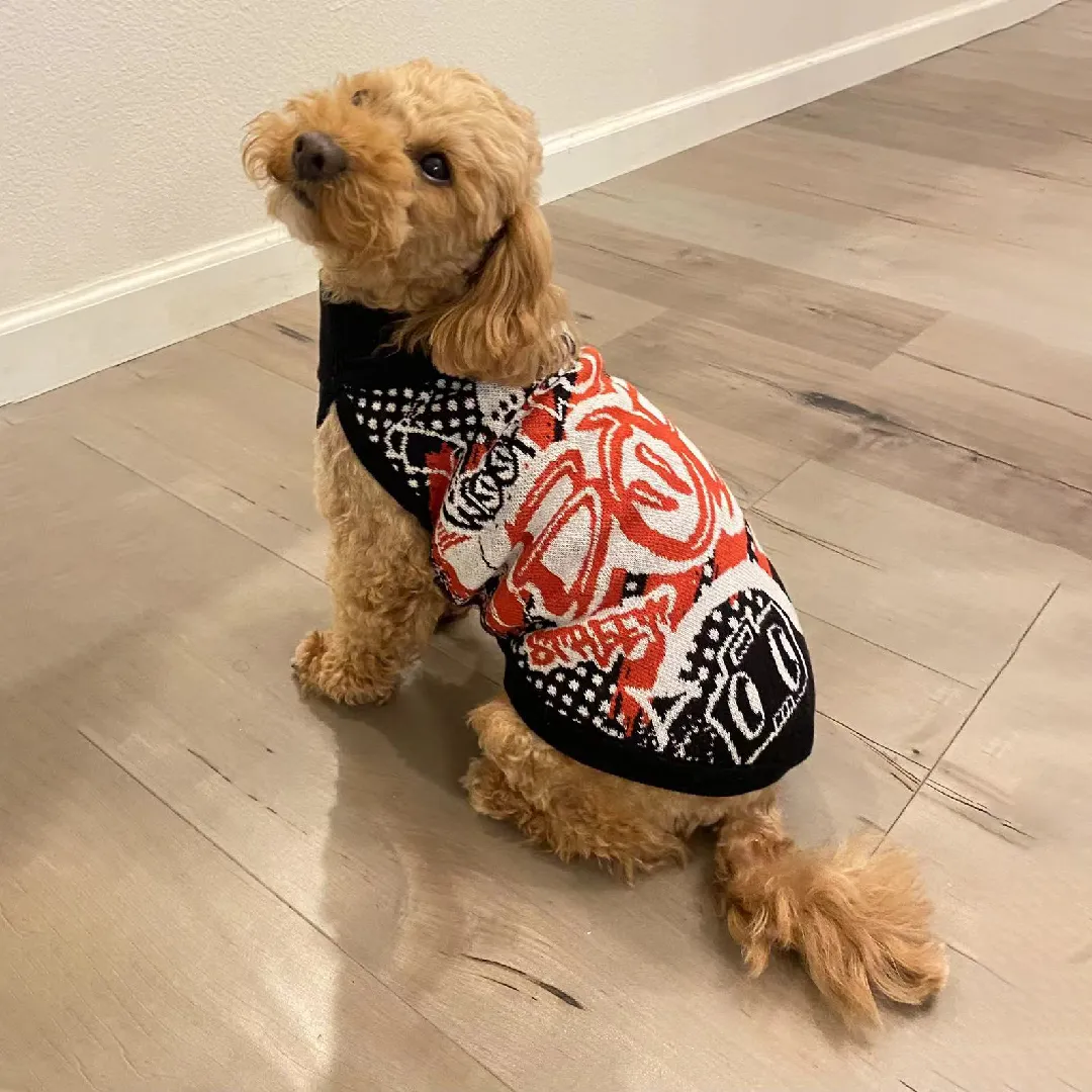 Pet Sweater