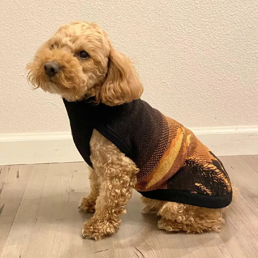 Pet Sweater