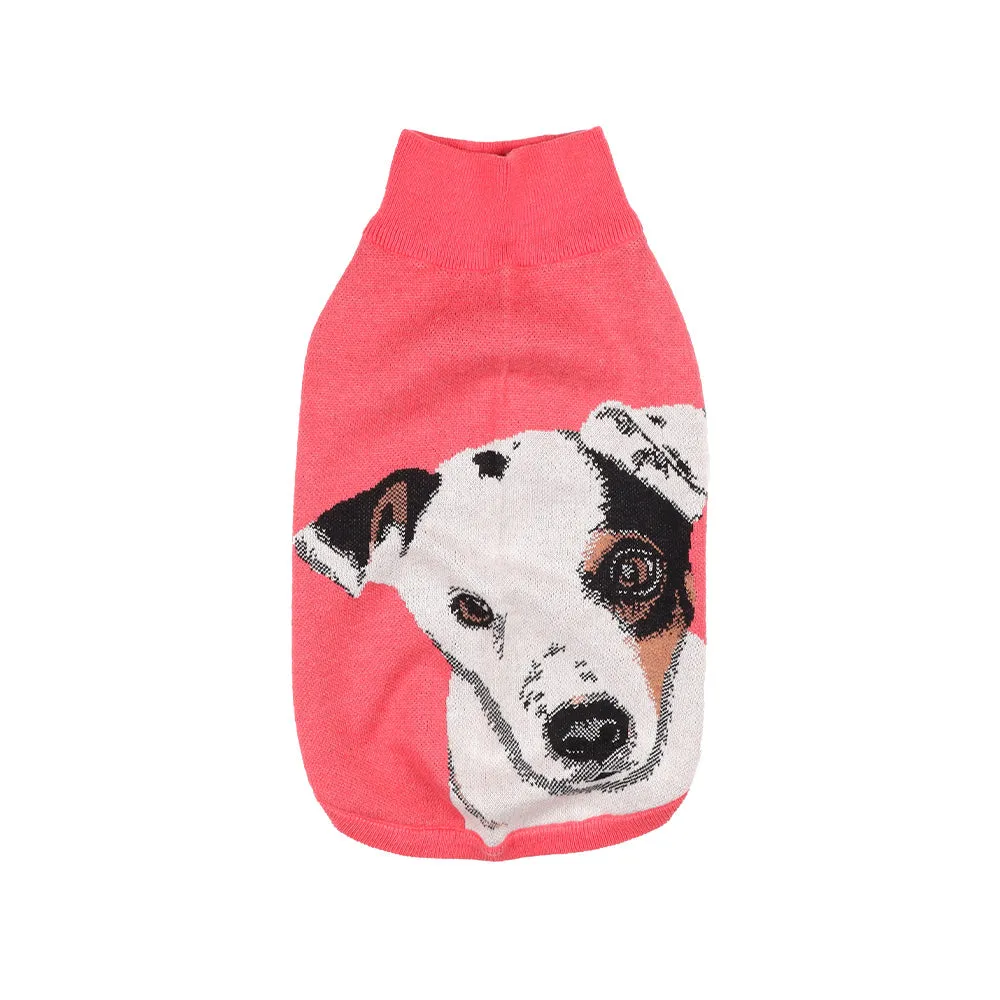 Pet Sweater