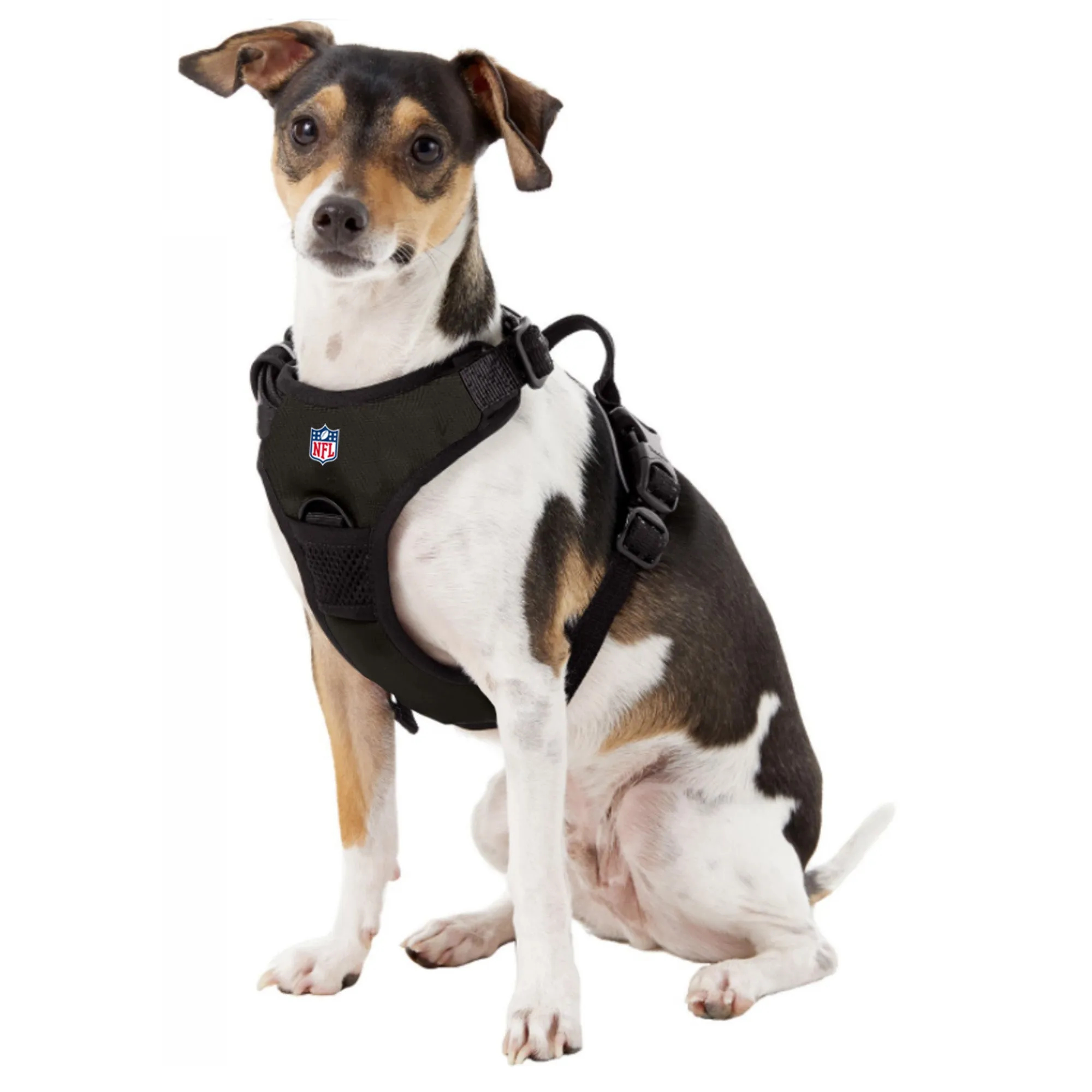 Pittsburgh Steelers Front Clip Pet Harness