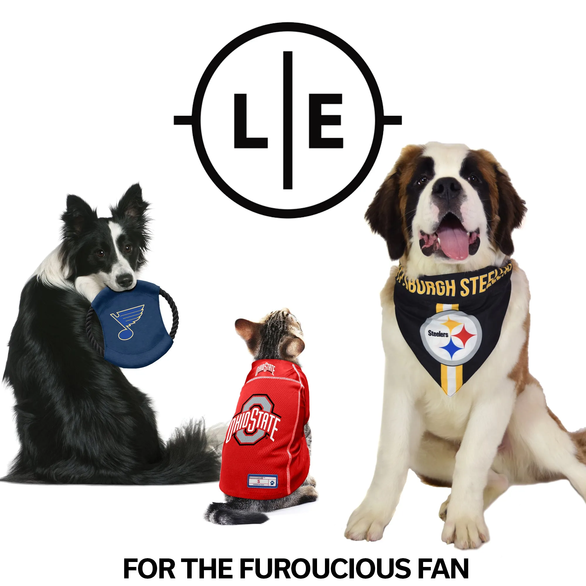 Pittsburgh Steelers Front Clip Pet Harness
