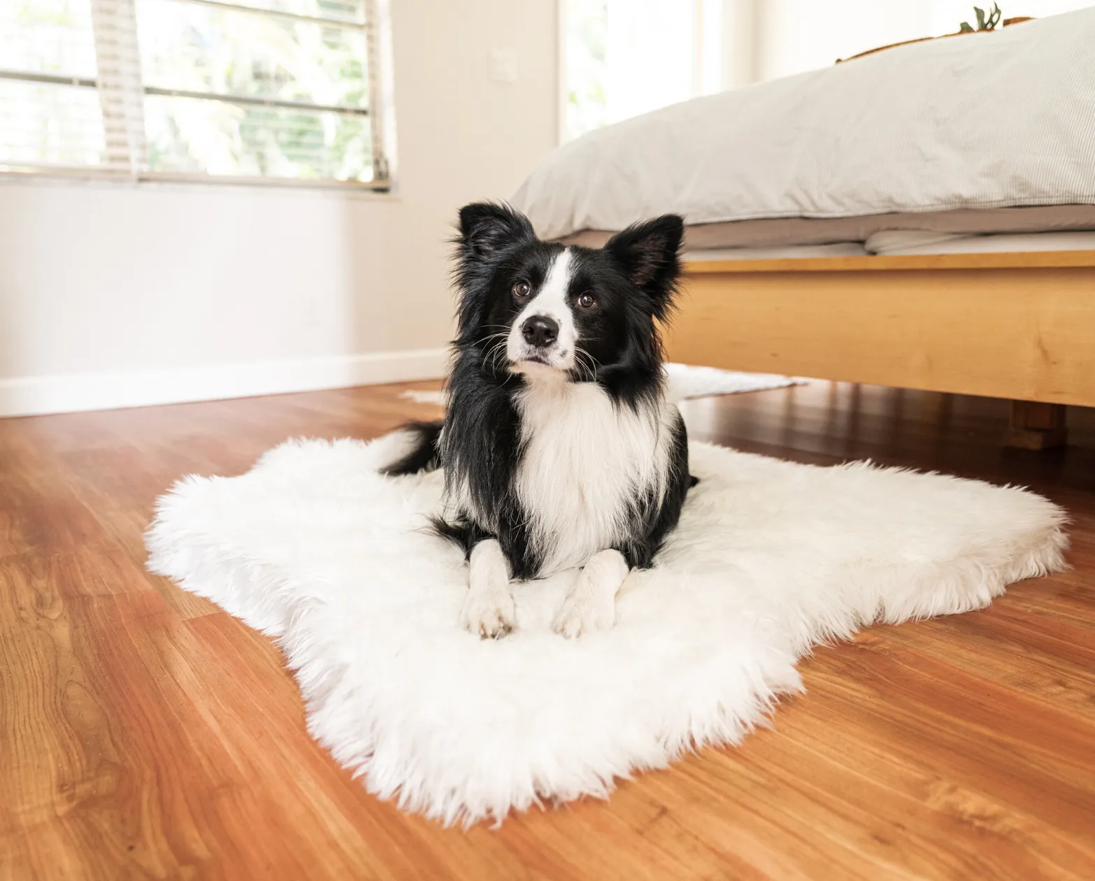 PupRug™ Junior Memory Foam Bed   Matching Waterproof Blanket Bundle - Polar Bear Faux Hide