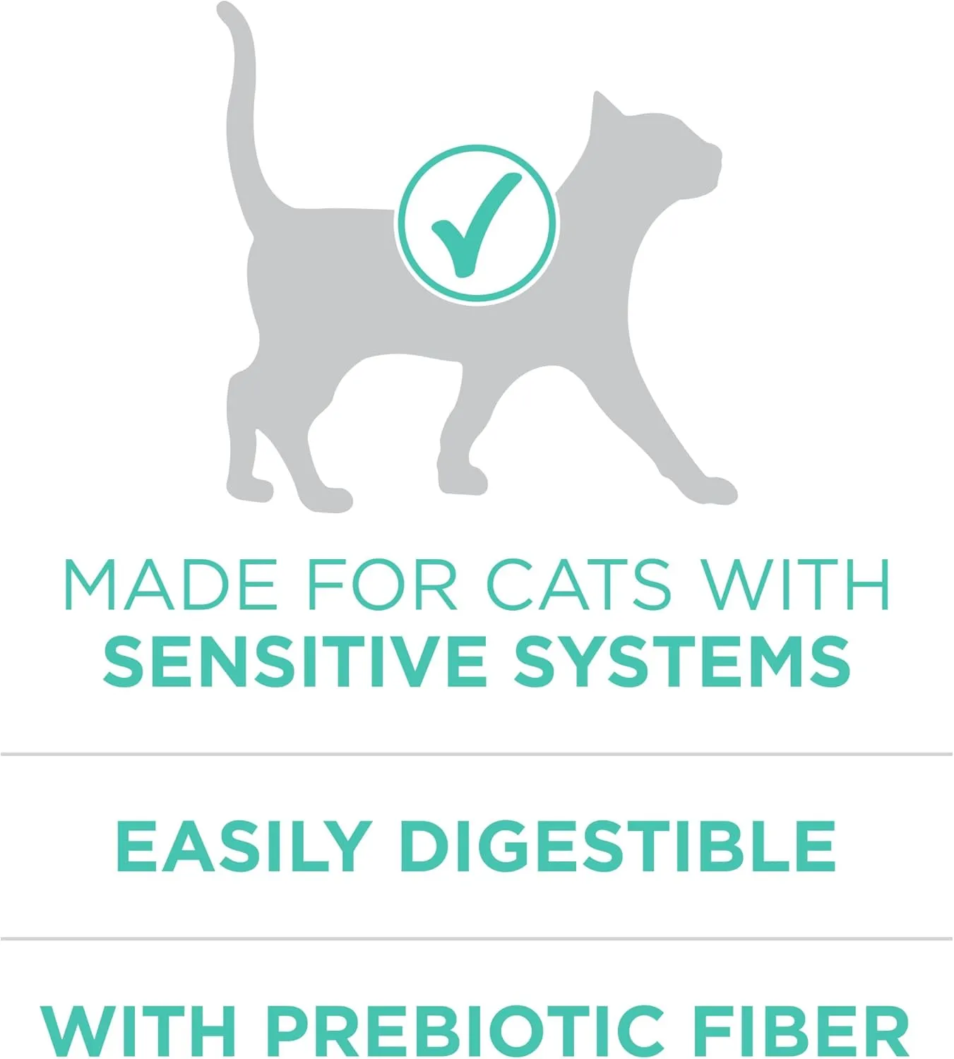 Purina ONE Sensitive Stomach, Sensitive Skin, Natural Dry Cat Food,  Plus Sensitive Skin and Stomach Formula - 16 lb. Bag