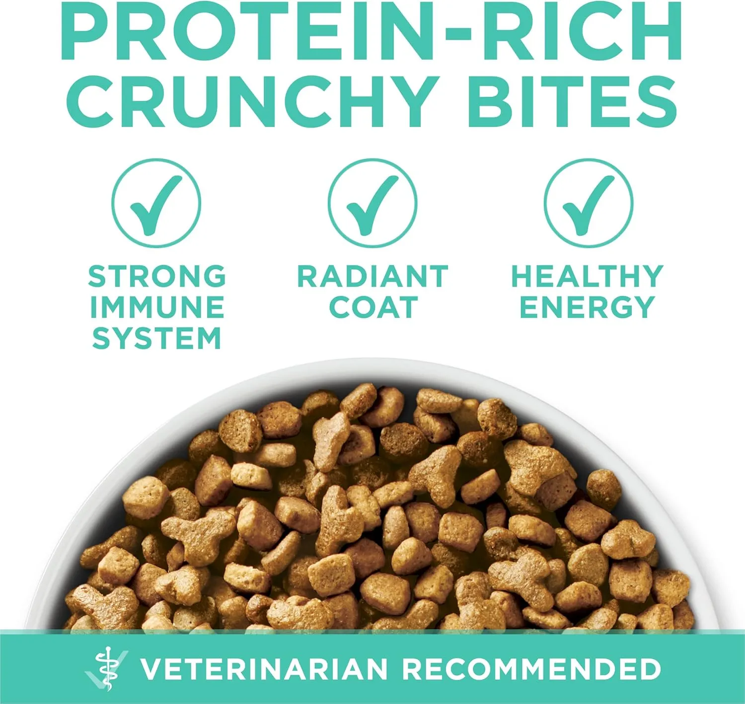 Purina ONE Sensitive Stomach, Sensitive Skin, Natural Dry Cat Food,  Plus Sensitive Skin and Stomach Formula - 16 lb. Bag