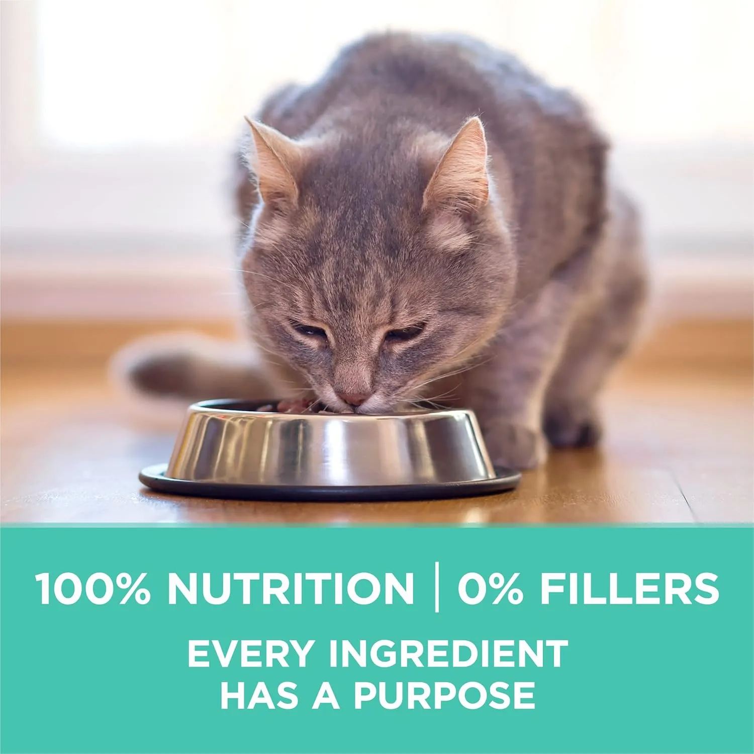 Purina ONE Sensitive Stomach, Sensitive Skin, Natural Dry Cat Food,  Plus Sensitive Skin and Stomach Formula - 16 lb. Bag
