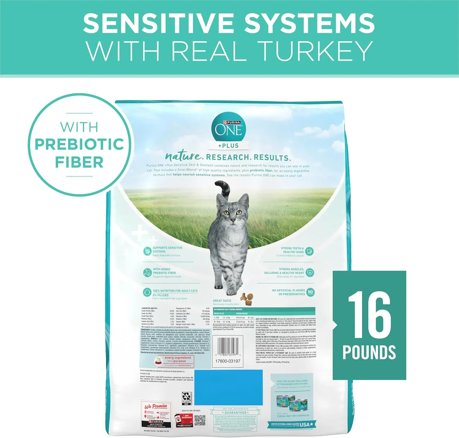 Purina ONE Sensitive Stomach, Sensitive Skin, Natural Dry Cat Food,  Plus Sensitive Skin and Stomach Formula - 16 lb. Bag