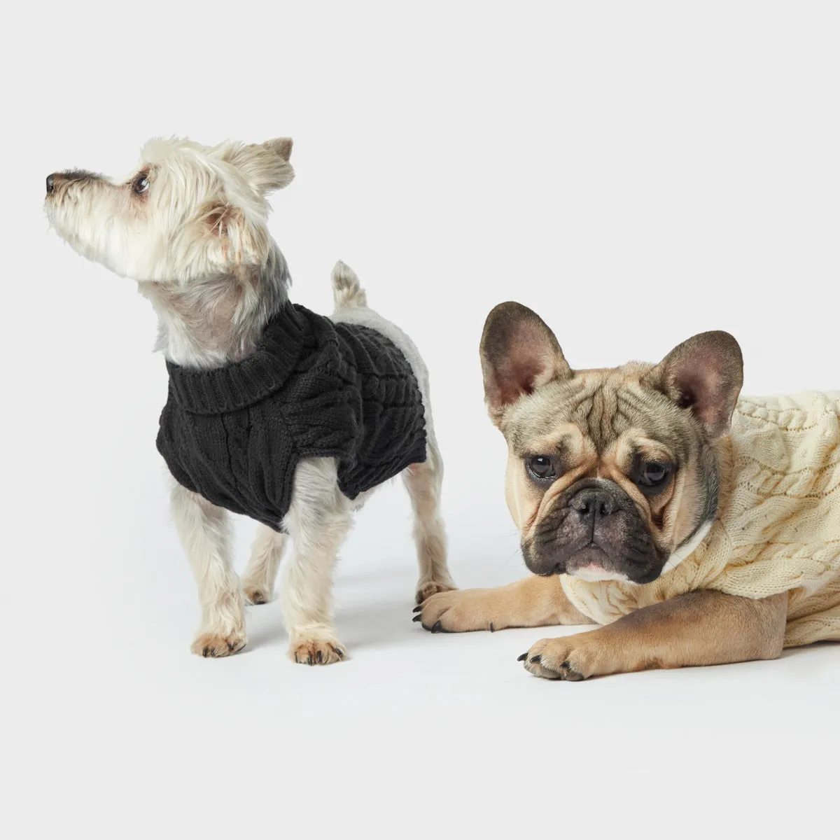 Shinola Knit Sweater | Black