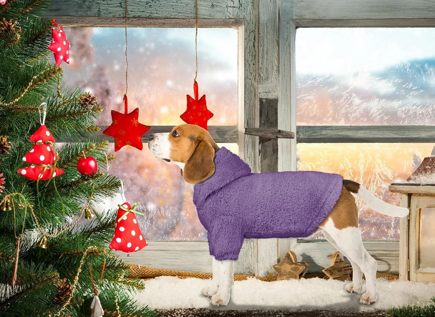 Stpiatue Fuzzy Dog Sweaters for Small Dogs Dog Hoodie Dog Clothes Warm Soft Cozy Dog Coats Hooded Sweatshirt Fleece Small Dog Hoodies Dog Sweater(Purple-XS)