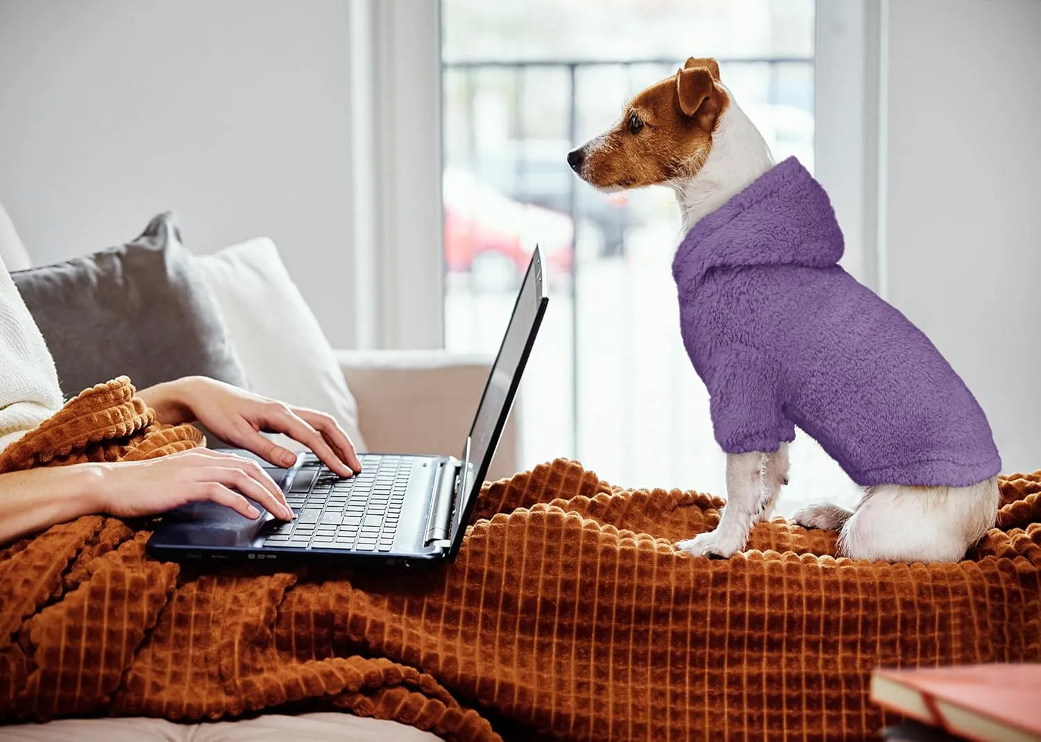Stpiatue Fuzzy Dog Sweaters for Small Dogs Dog Hoodie Dog Clothes Warm Soft Cozy Dog Coats Hooded Sweatshirt Fleece Small Dog Hoodies Dog Sweater(Purple-XS)