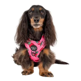 Strawberries Adjustable Harness