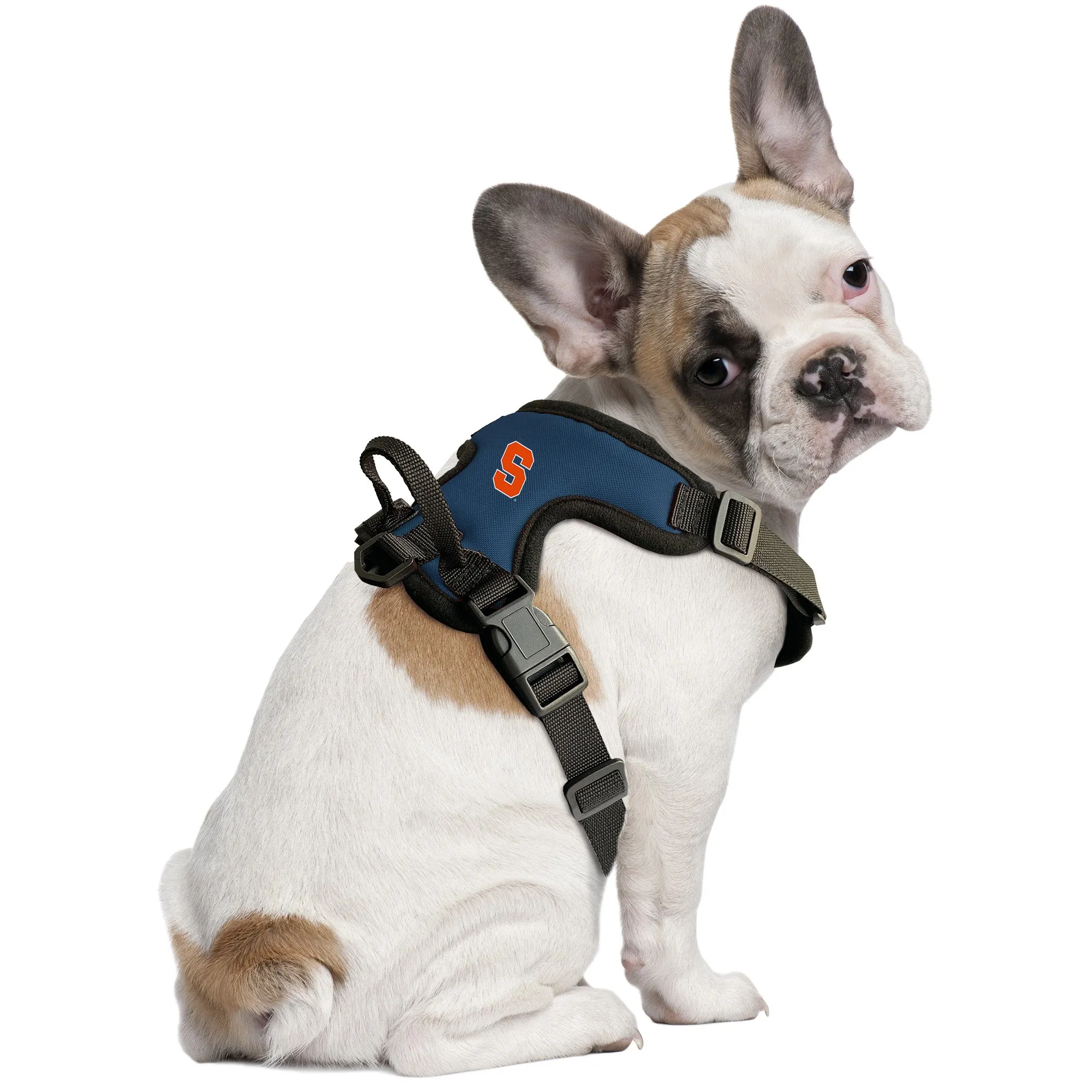 Syracuse University Front Clip Pet Harness