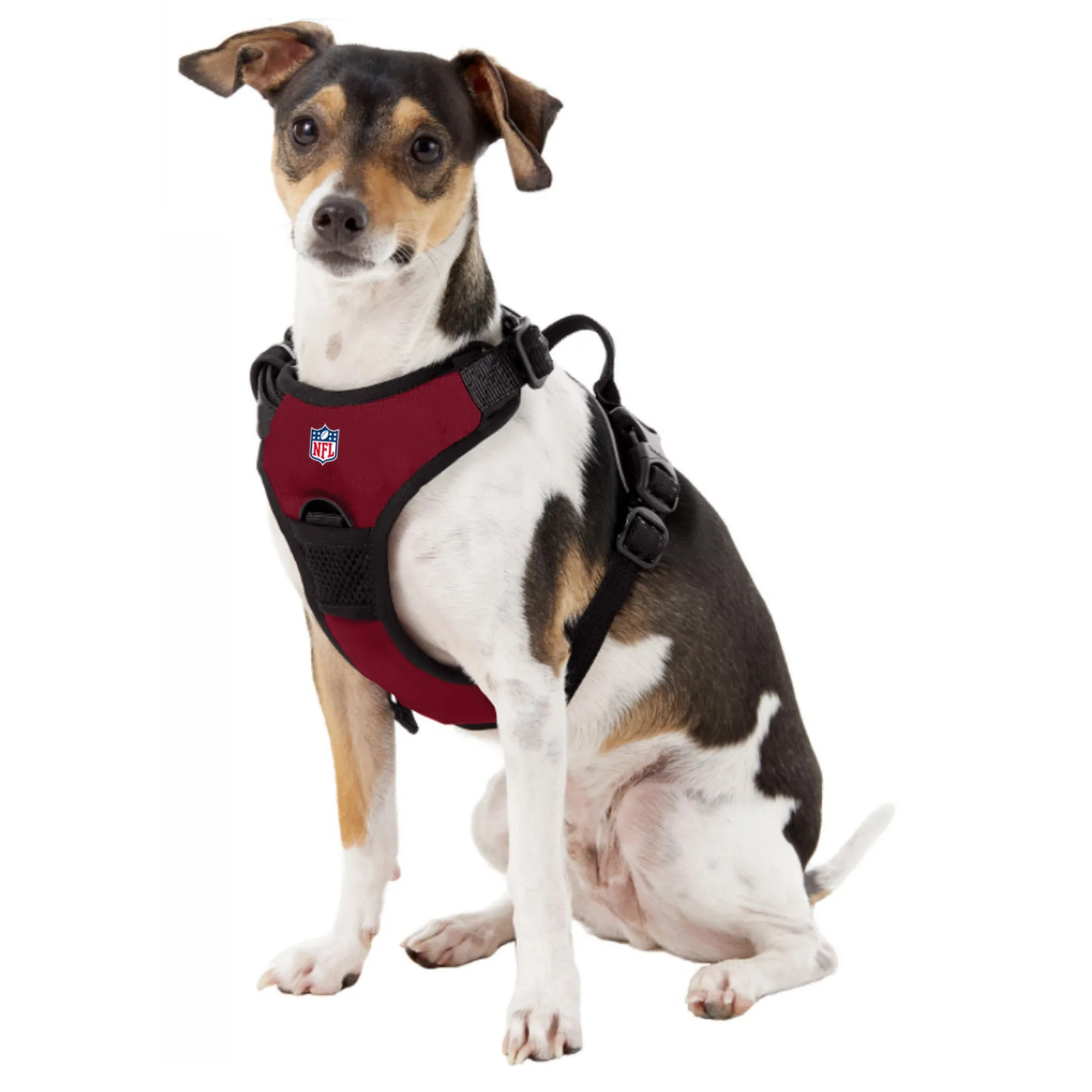 Tampa Bay Buccaneers Front Clip Pet Harness
