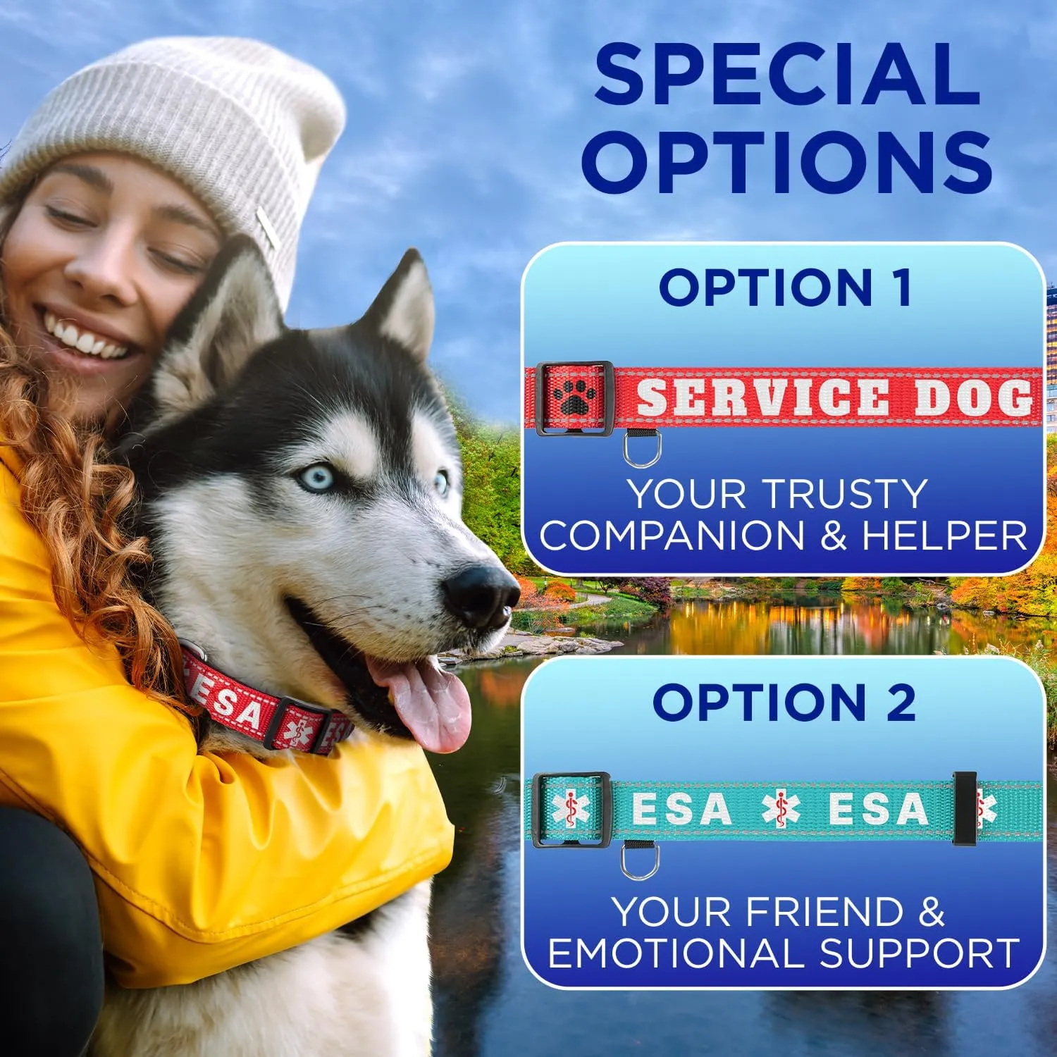 TECEUM Reflective Pet Collar  Red - ESA  M  Basic Nylon Dog Collar  Quick Release Buckle  Fits Small, Medium and Large Dogs, Puppies, Cats  ESA & Service Dog Options
