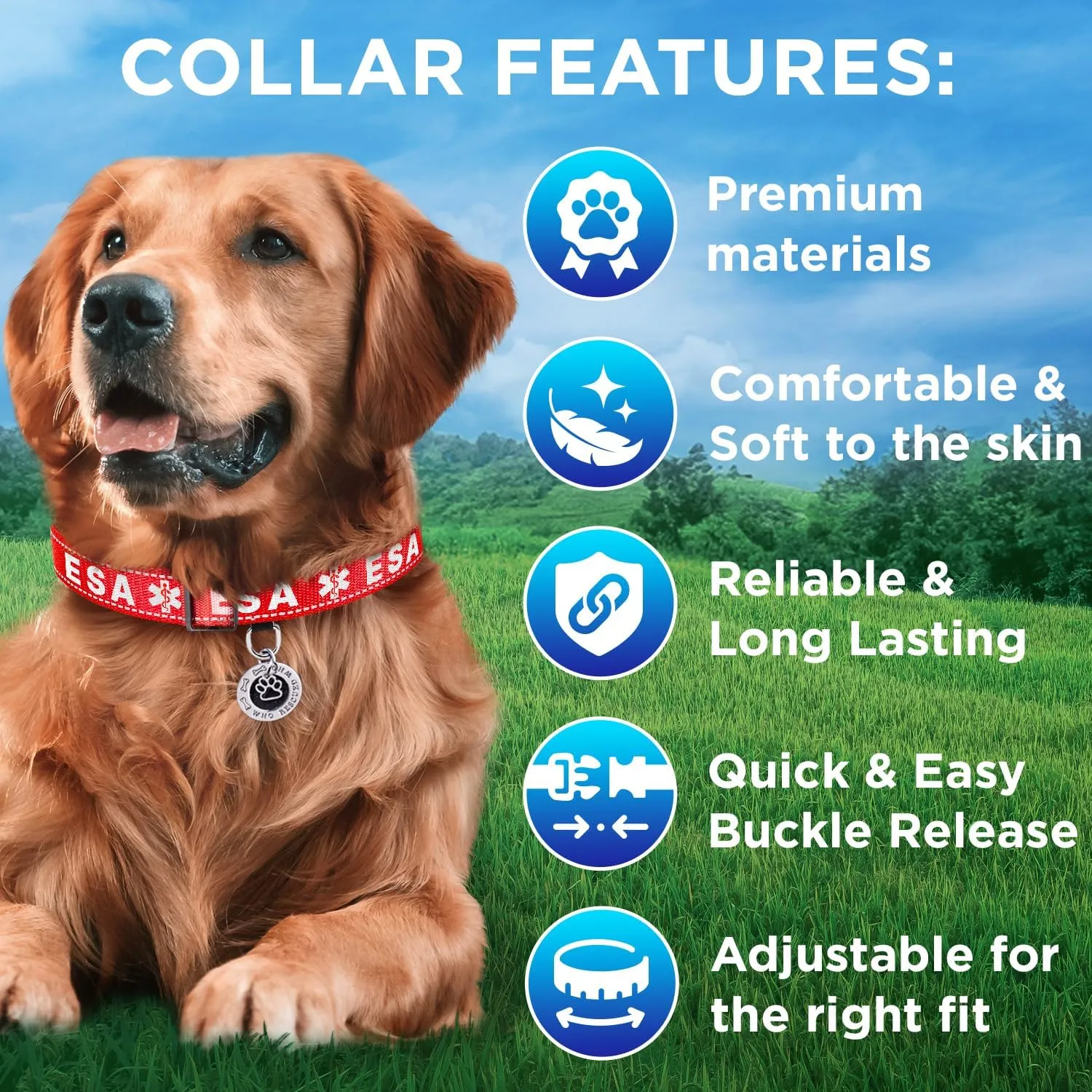 TECEUM Reflective Pet Collar  Red - ESA  M  Basic Nylon Dog Collar  Quick Release Buckle  Fits Small, Medium and Large Dogs, Puppies, Cats  ESA & Service Dog Options