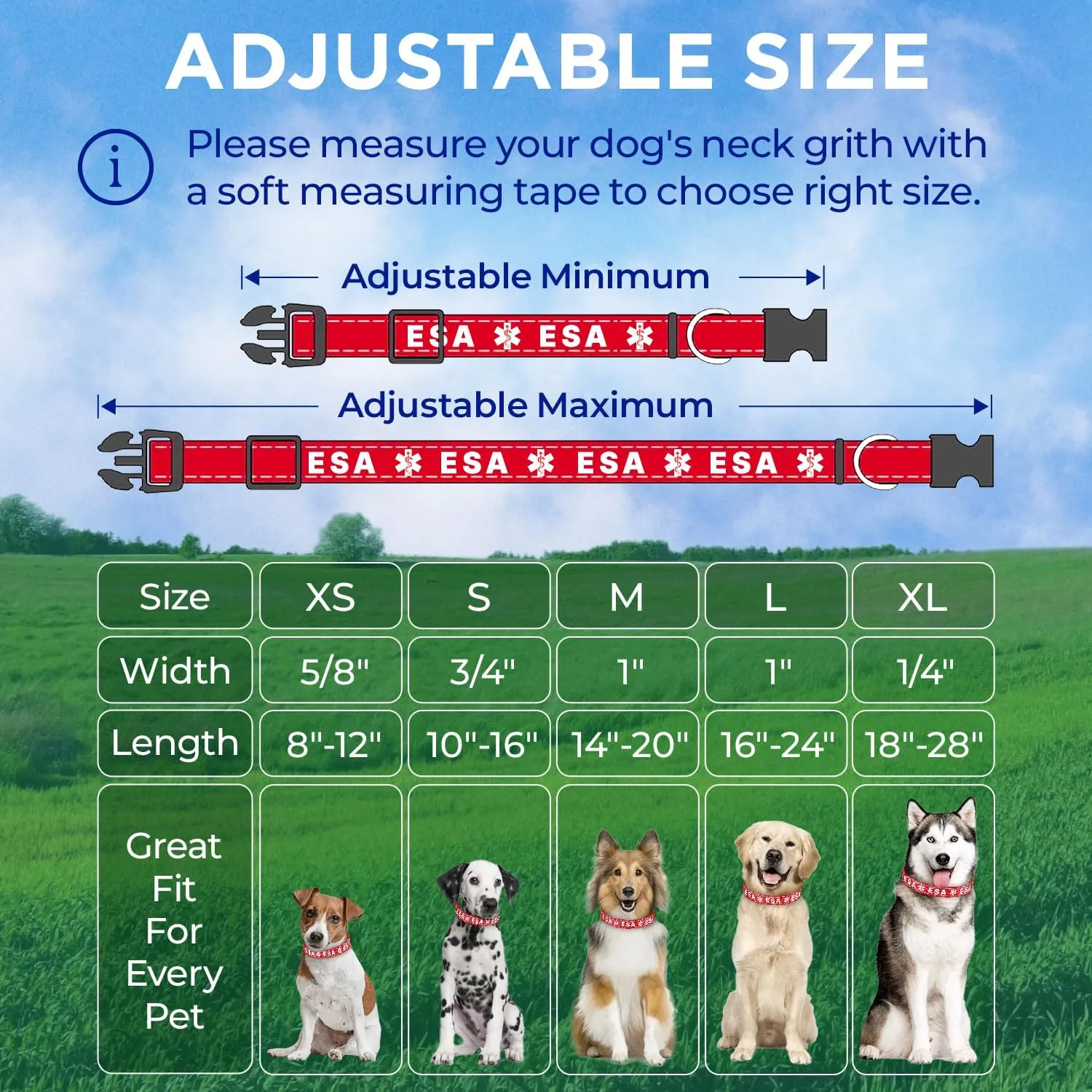 TECEUM Reflective Pet Collar  Red - ESA  M  Basic Nylon Dog Collar  Quick Release Buckle  Fits Small, Medium and Large Dogs, Puppies, Cats  ESA & Service Dog Options
