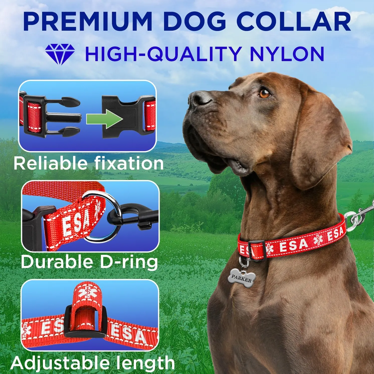 TECEUM Reflective Pet Collar  Red - ESA  M  Basic Nylon Dog Collar  Quick Release Buckle  Fits Small, Medium and Large Dogs, Puppies, Cats  ESA & Service Dog Options