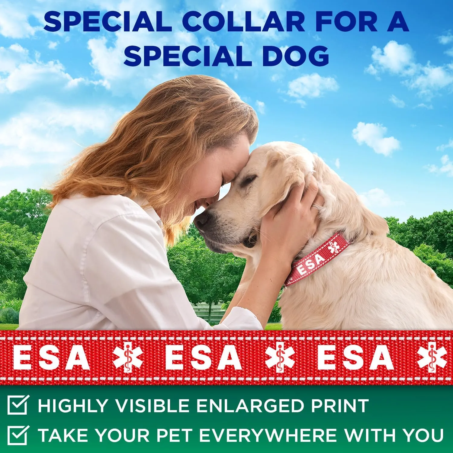 TECEUM Reflective Pet Collar  Red - ESA  M  Basic Nylon Dog Collar  Quick Release Buckle  Fits Small, Medium and Large Dogs, Puppies, Cats  ESA & Service Dog Options