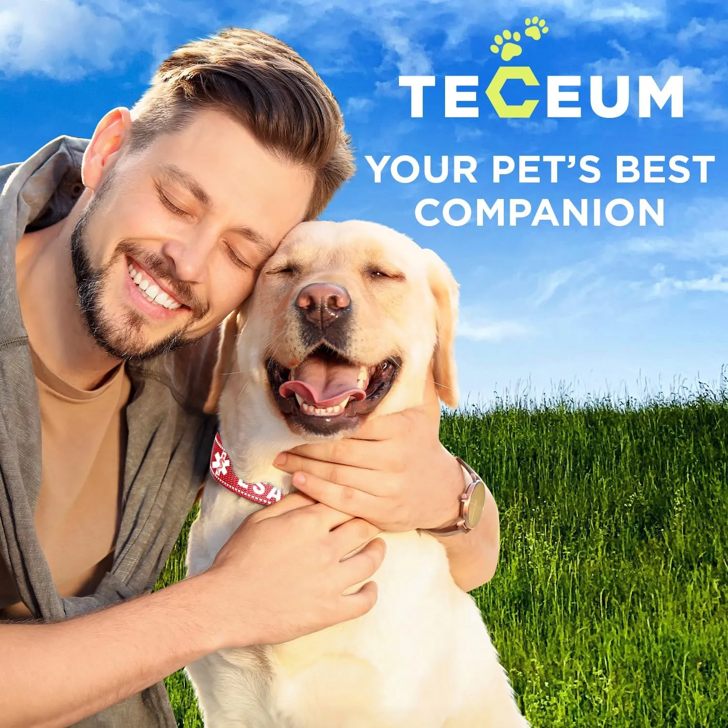 TECEUM Reflective Pet Collar  Red - ESA  M  Basic Nylon Dog Collar  Quick Release Buckle  Fits Small, Medium and Large Dogs, Puppies, Cats  ESA & Service Dog Options