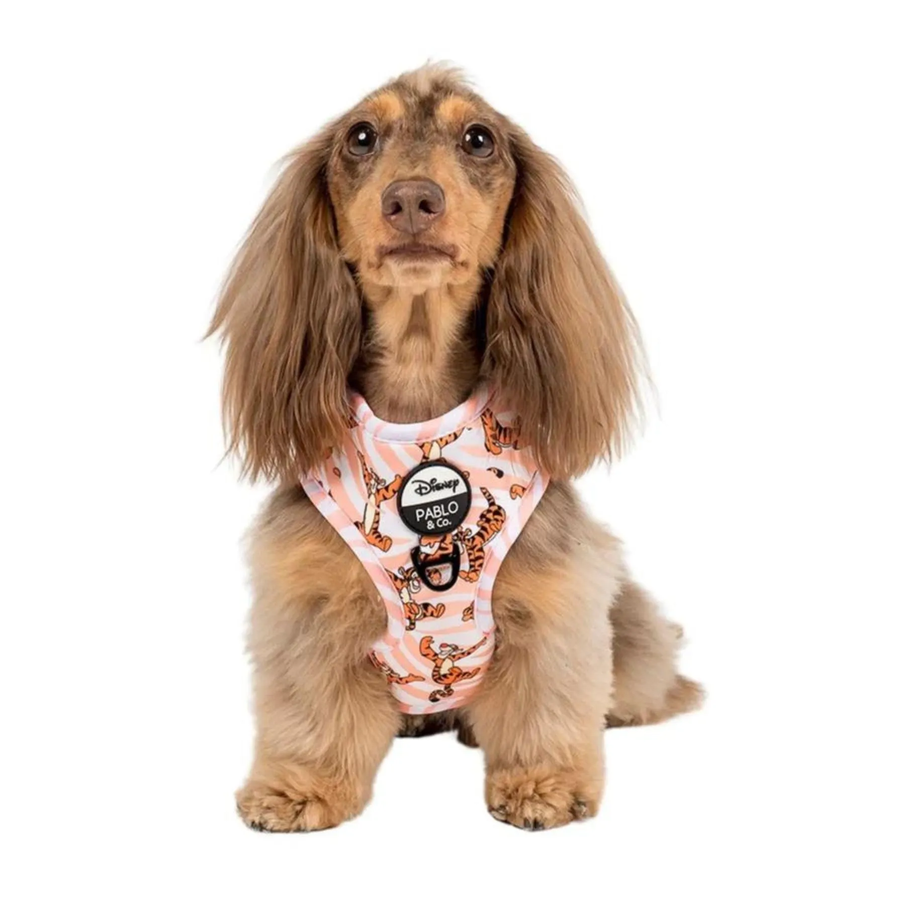 The One of a Kind Tigger Adjustable Harness