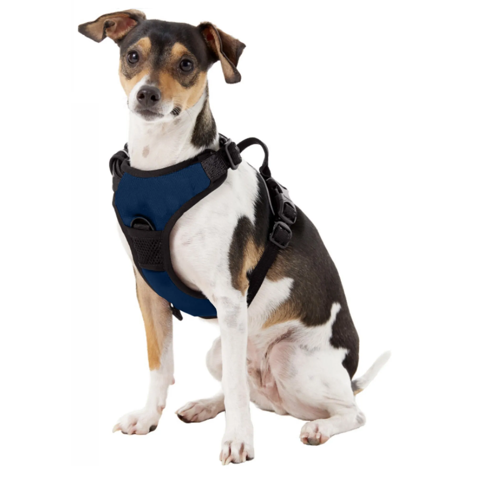 University of North Carolina Front Clip Pet Harness