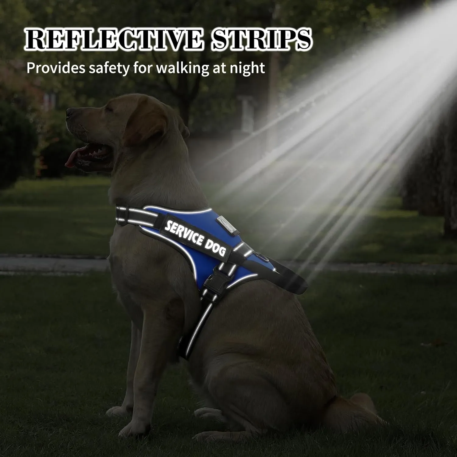 voopet Dog Harness Small Sized   ID Card Pocket   7 Patches, No Pull Adjustable Pet Dog Vest 3M Reflective Breathable Dog Harness with Soft Padded Handle for Training, Walking, Easy Control