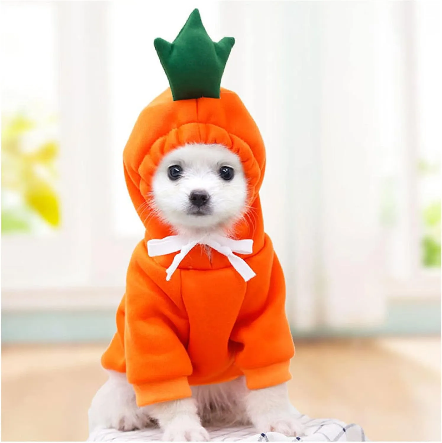 Warm Dog Winter Clothes Cute Fruit Dog Coat Hoodies Fleece Pet Dogs Costume Jacket for French Bulldog Chihuahua Ropa para Perro(Orange,M)