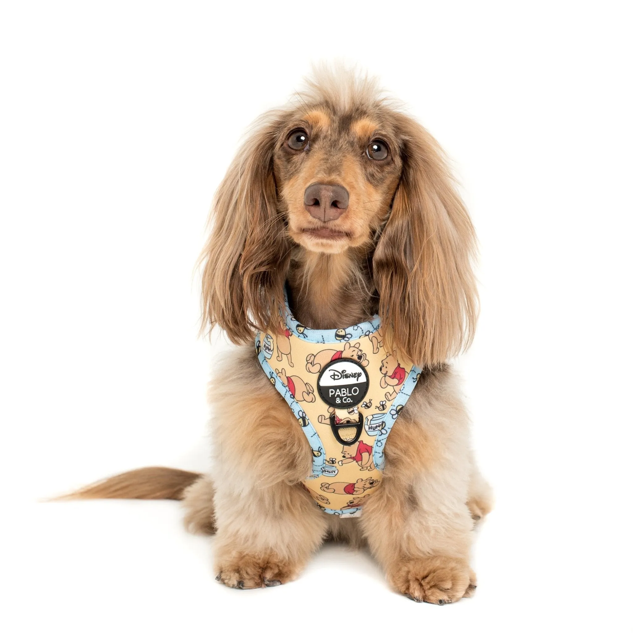 Winnie the Pooh & Bee's Adjustable Harness