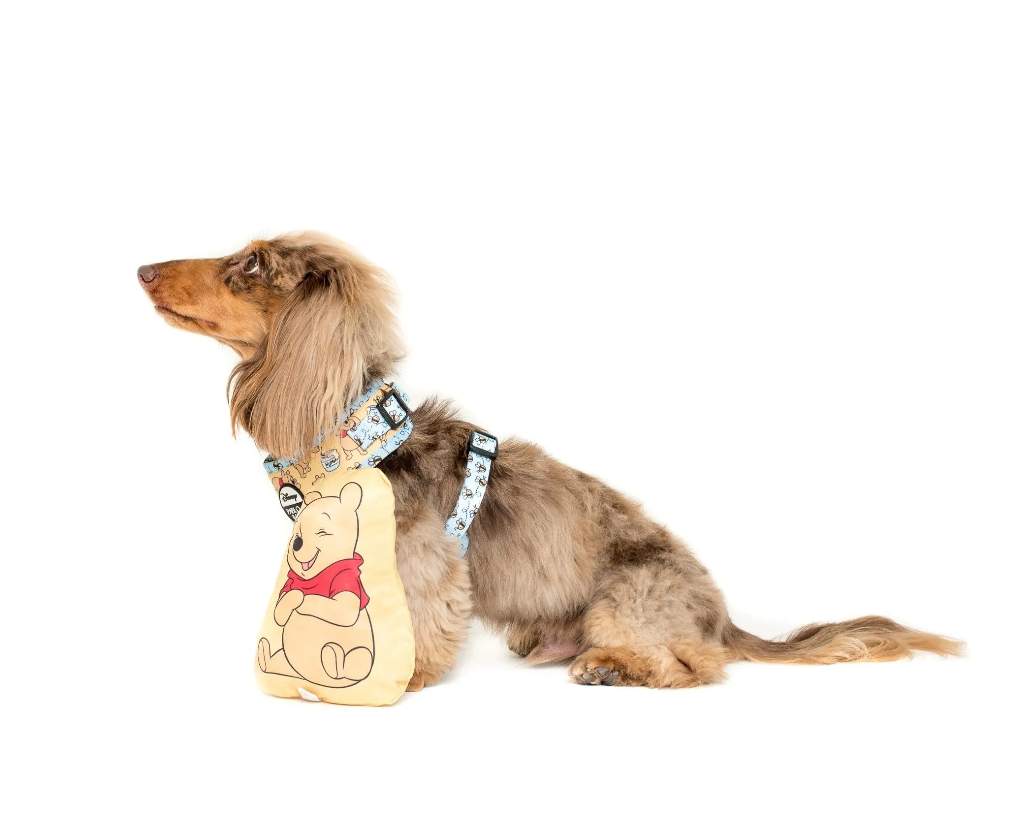 Winnie the Pooh & Bee's Adjustable Harness